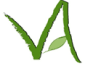 Vision Avenue Homes Logo